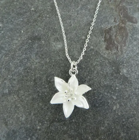 A necklace with a tracker -just in case- (สร้อยพร้อม GPS -เผื่อไว้เฉยๆ นะ...-)