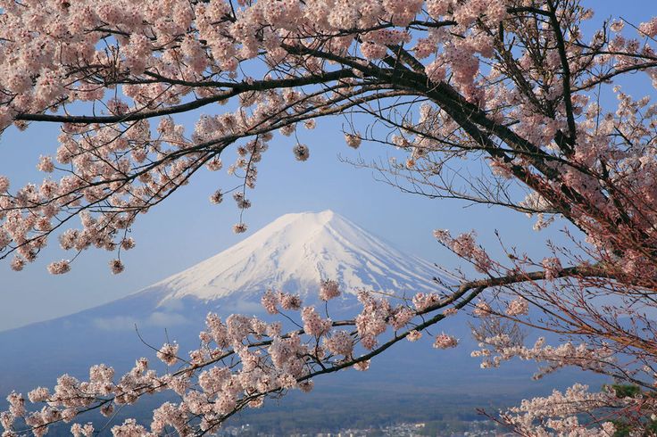 Life after being in Japan🌸