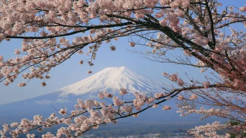 Life after being in Japan🌸