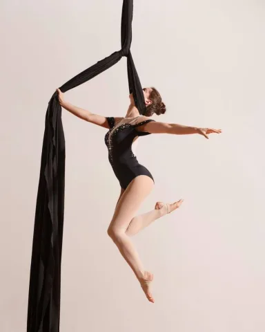 Aerial silks(ผ้าคู่)