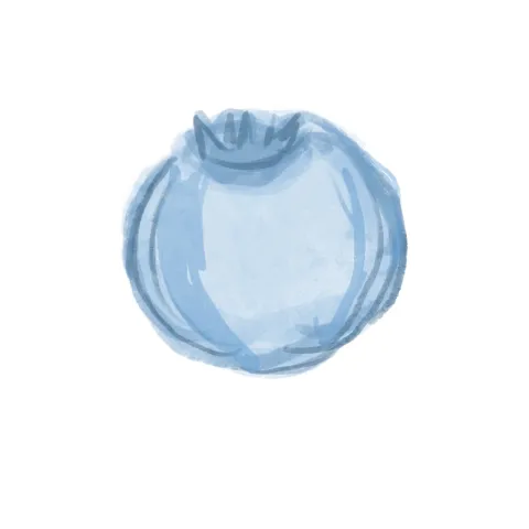 Blueberry บลูเบอร์รี่