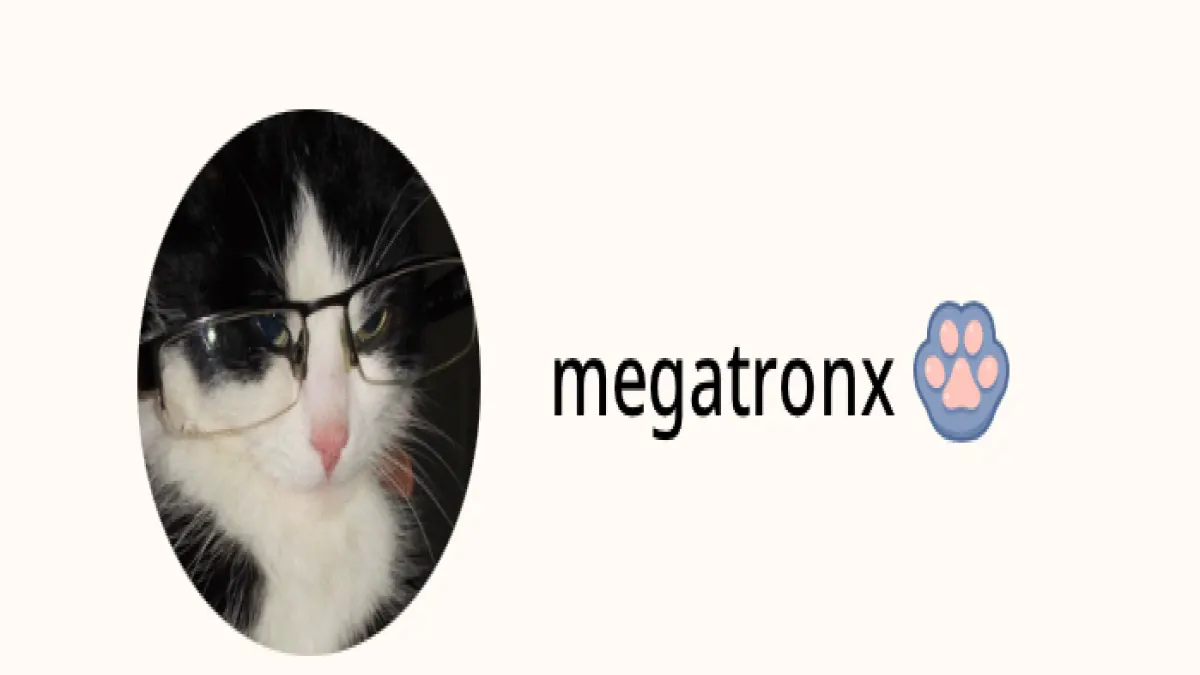 คุณจะได้เป็นแฟนเมะคนใดในจักรวาล megatronx