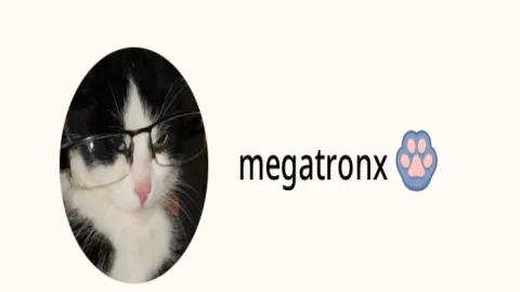 คุณจะได้เป็นแฟนเมะคนใดในจักรวาล megatronx