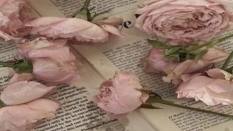 เมื่อทุกอย่างกลายเป็นสีชมพู 🎀
