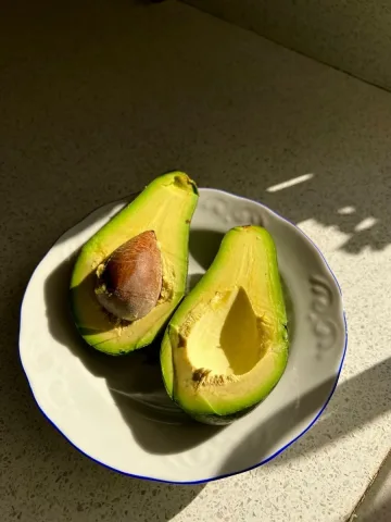 Avocado