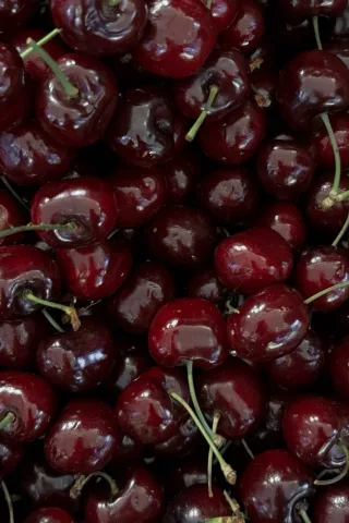 Cherry