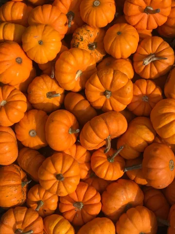Pumpkins