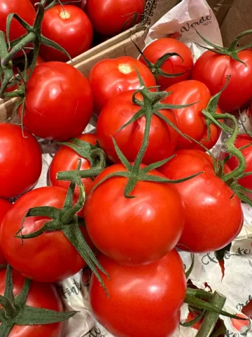 Tomatoes