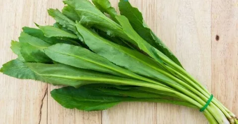 Parsley