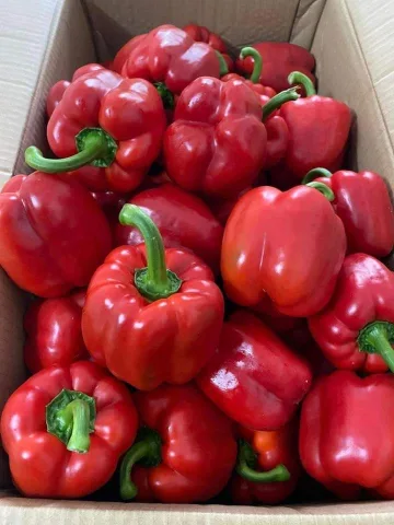 Peppers
