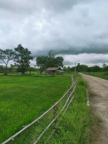 เดินเล่น