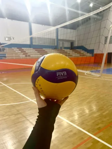 เล่นบอลเลย์บอล