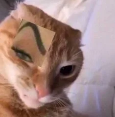 เผ่าพันธ์ุของคุณ?
