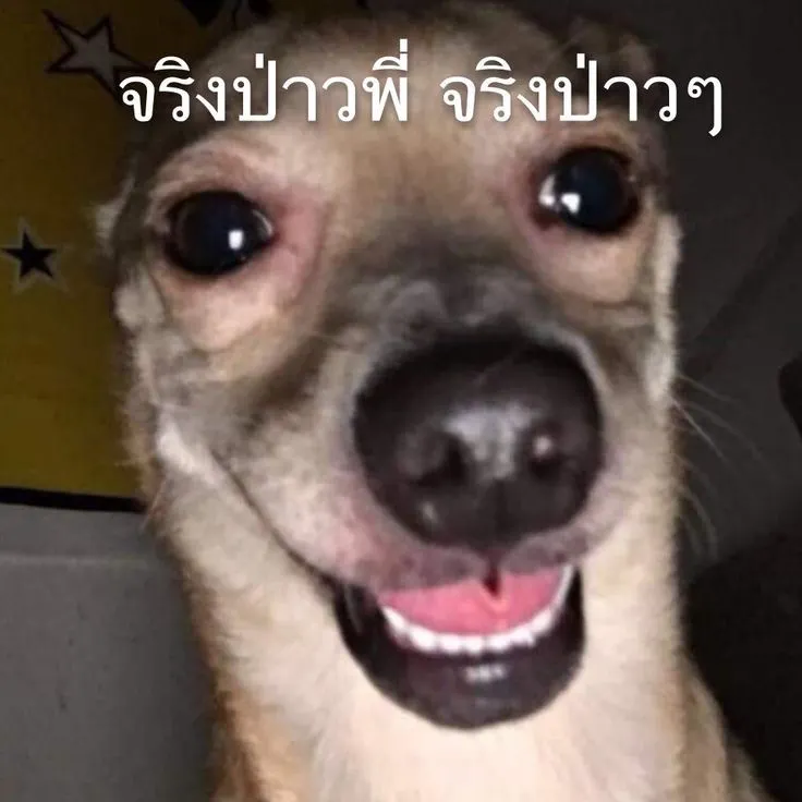 ( โอเคยย์ ) ไปร้านกันเรยย คุณกินข้าวเสร็จเรียบร้อยเเยะ 😋