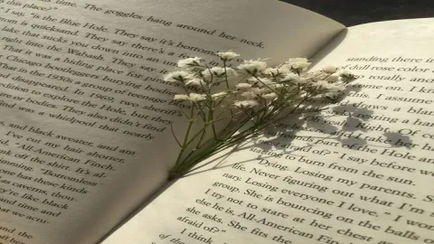 คุณมีเทสการอ่านหนังสือแบบไหน
