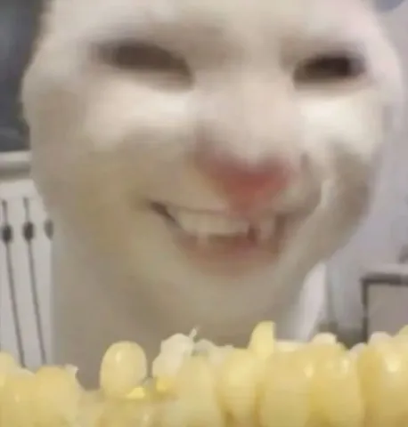 ข้าวติดคอตุย