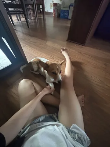 ( ตื่นเเล้วจ้า มาเล่นกับน้องหมา 🐶 )