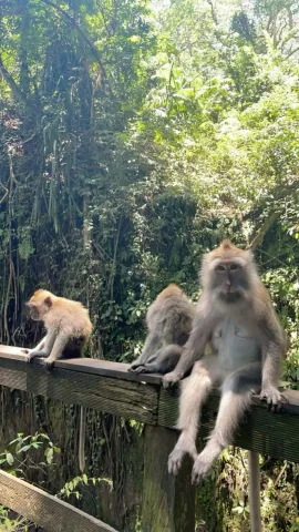 ดูแลสัตว์และสำรวจธรรมชาติ