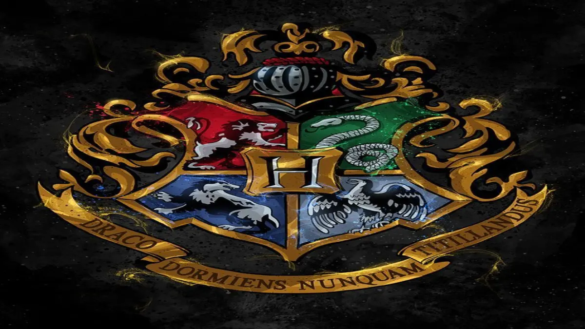 hogwarts house