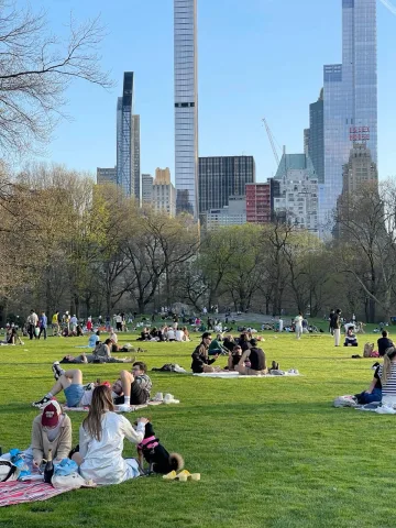 📍 central park