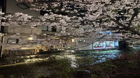 1 day in japan