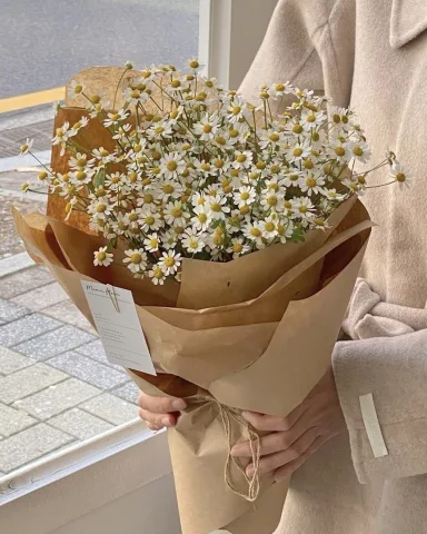 ดอกคาโมมายล์ — เพราะมันเรียบง่ายแต่น่ารัก