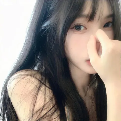 ดาวเหนือ