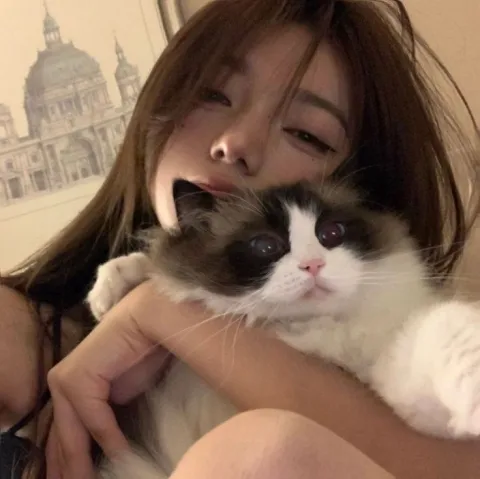 อั่งเปา 21 y