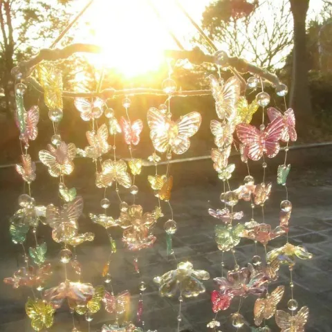 สวนดอกไม้หรือเมืองโรแมนติก