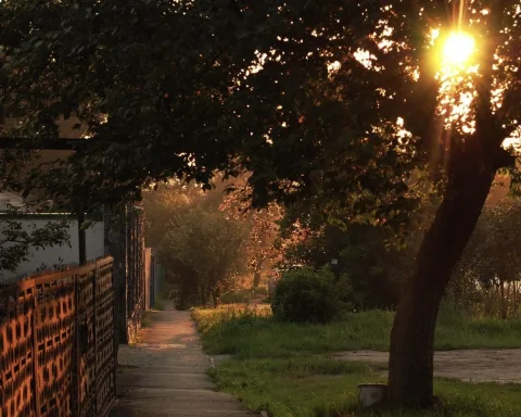 ถ่ายรูปเล่นแสงตอนเย็น