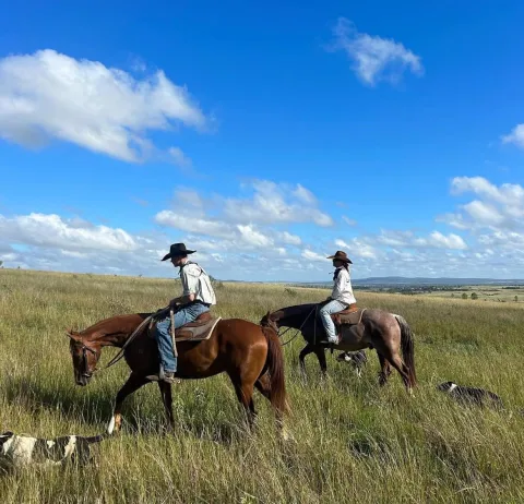 ขี่ม้าชมทุ่ง