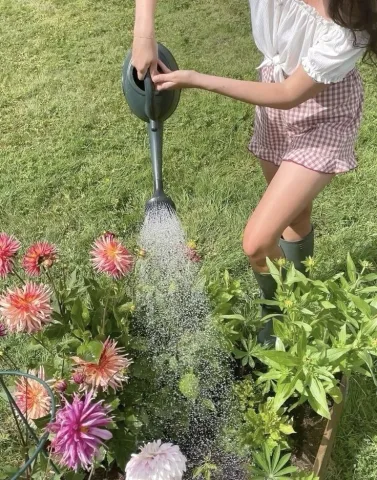 ทำสวน ปลูกดอกไม้