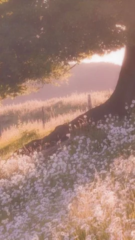 คุณหนูมาอยู่ที่นี่นี่เอง! ดิฉันนึกว่าคุณหนูหายตัวไปแล้วเสียอีก