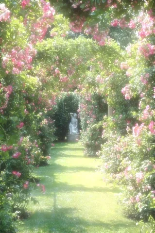 คุณหนูคะดิฉันว่าเรากลับกันก่อนดีกว่านะคะ