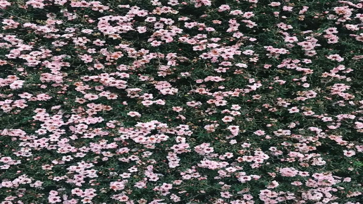 if you are a stylist