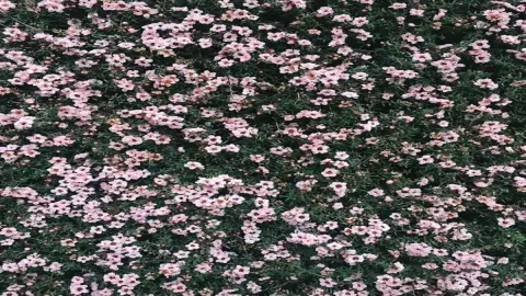 if you are a stylist