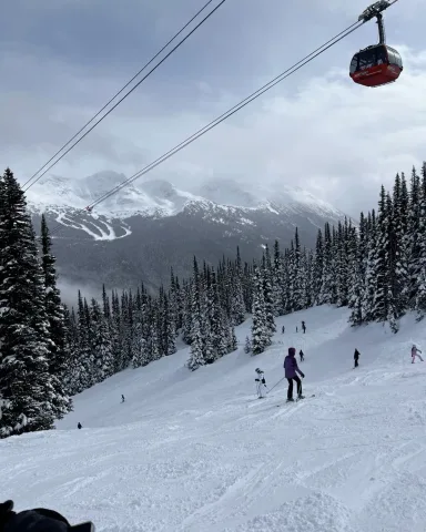 วิสต์เลอร์