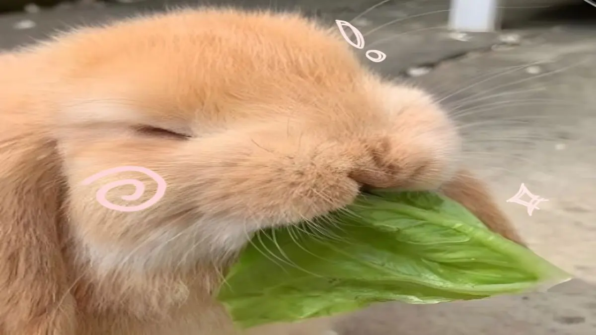 เมื่อคูณเธอใช้ชีวิตอยู่คนเดียว(แบบชิวๆ)