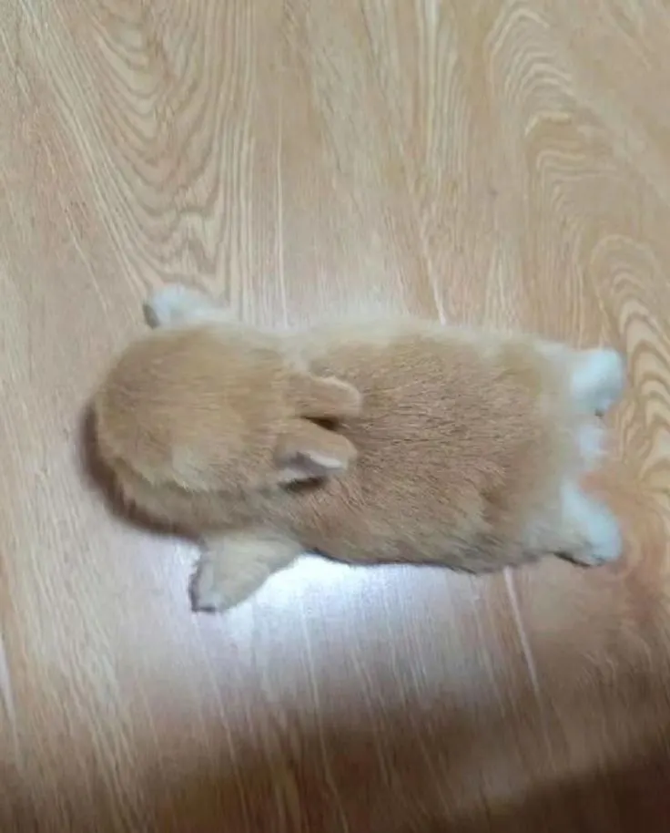 ตื่นนอนกี่โมงค๊าาาา