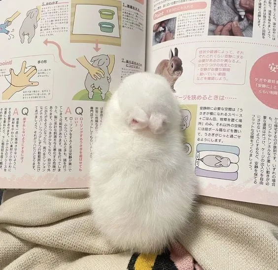 จบแล้วววยาวหรือสั้นไปบอกได้นะคะเตงเราไปก่อนนะคะะะ(มาสุ่มๆ)