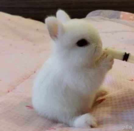 ดื่มเครื่องดื่มตอนเช้าซักหน่อยสิคะ