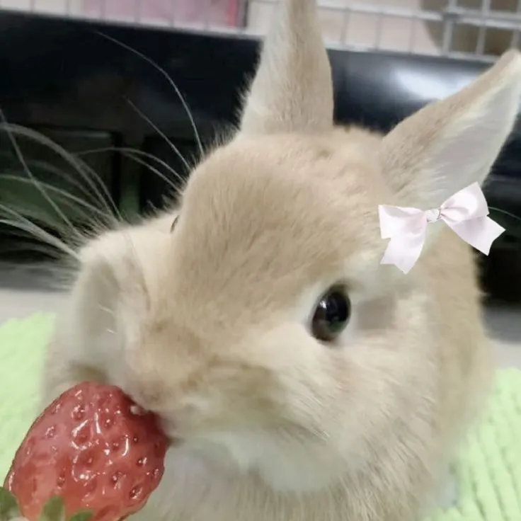 มาๆกินข้าวเที่ยงกันเถอะะ