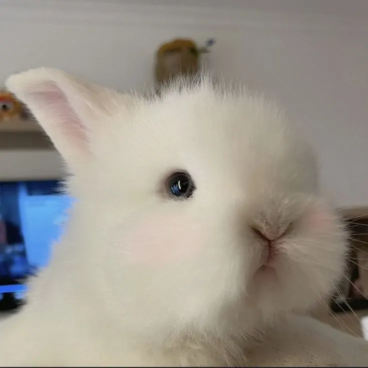 อย่าลืมนำ้นะจ๊ะะ