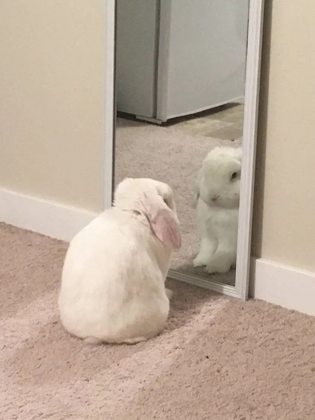 ตอนเย็นนี้ไปตลาดเย็นดีกว่าาใส่ชุดไหนไปดีนะ!