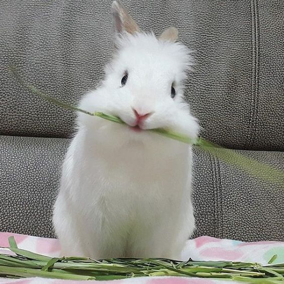 ช่วงข้าวเย็น(อาหารอีกล้าาาาา)