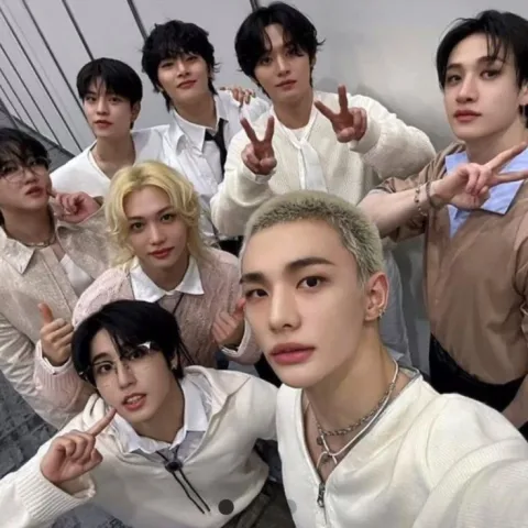 Stray kids