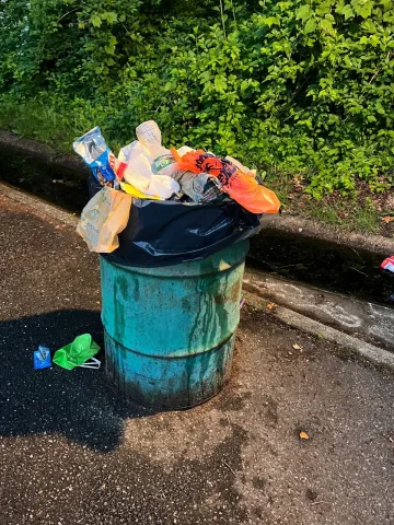 ข้างถังขยะเปียก