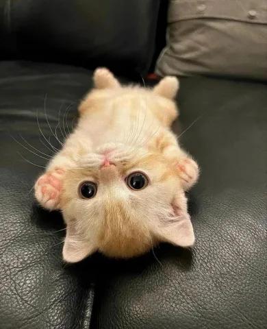 ลูกของคุณ