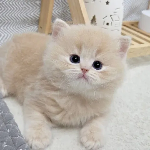 ลูกของคุณ