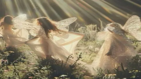 ถ้าคุณเป็นแฟรี่💐🦋